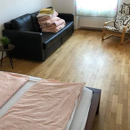 Apartment In The Center - 500M From Hlavni Nadrazi Brno